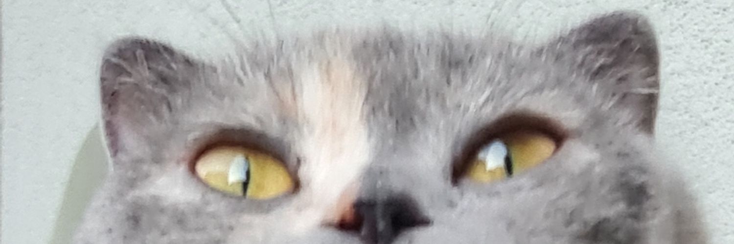 dextran0's profile banner image