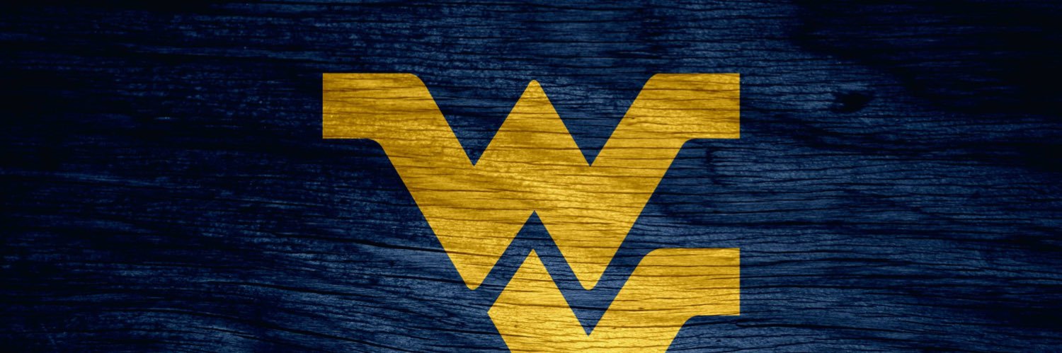 teamterris's profile banner image