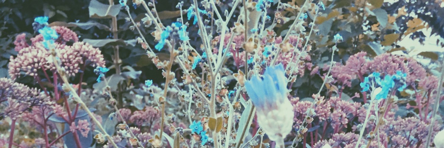 megatrashed's profile banner image