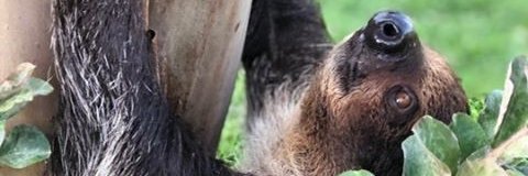 Zootastic Park banner