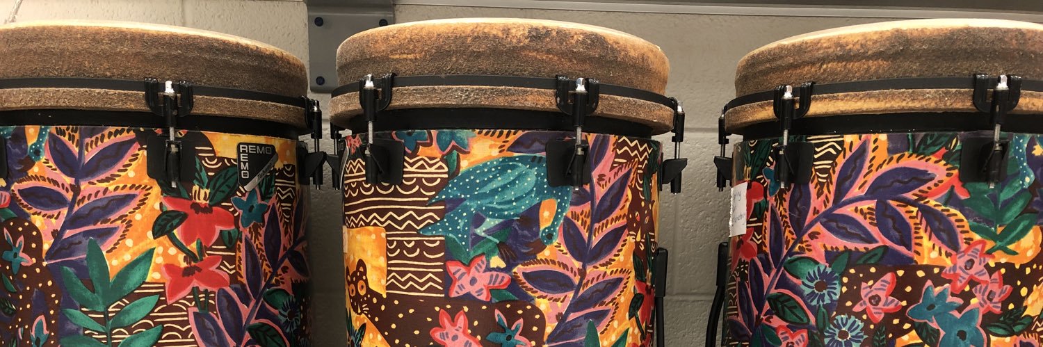 🎶 SRES Music Room 🎶 banner