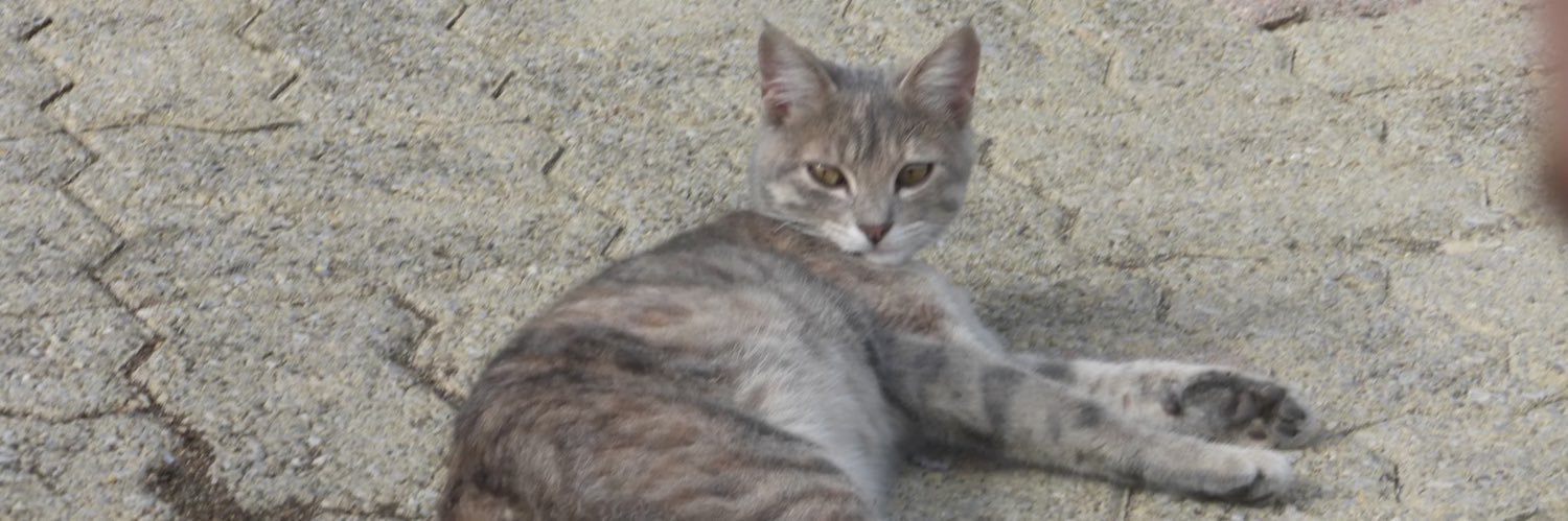 Ethan ⸆⸉ (Taylor’s Version) banner