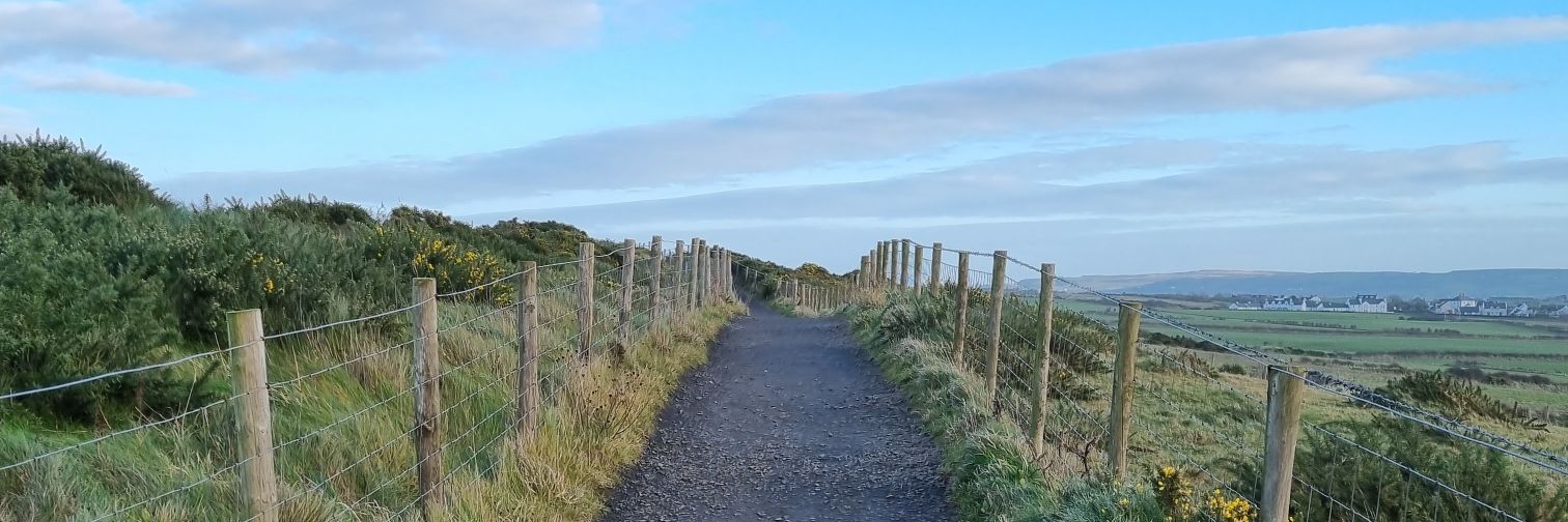 Vade Retro Manawa † banner