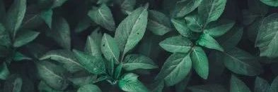 _sofiacorrea's profile banner image