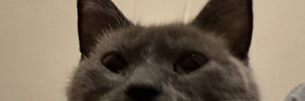 doomxltv Profile Banner