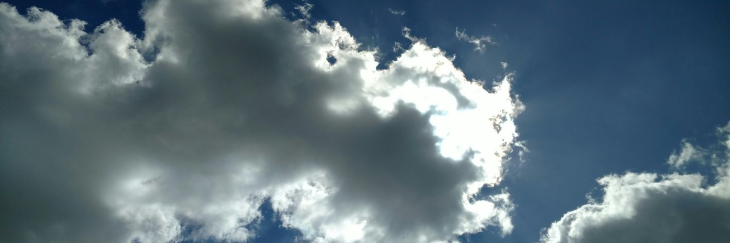 jerlenetatum's profile banner image