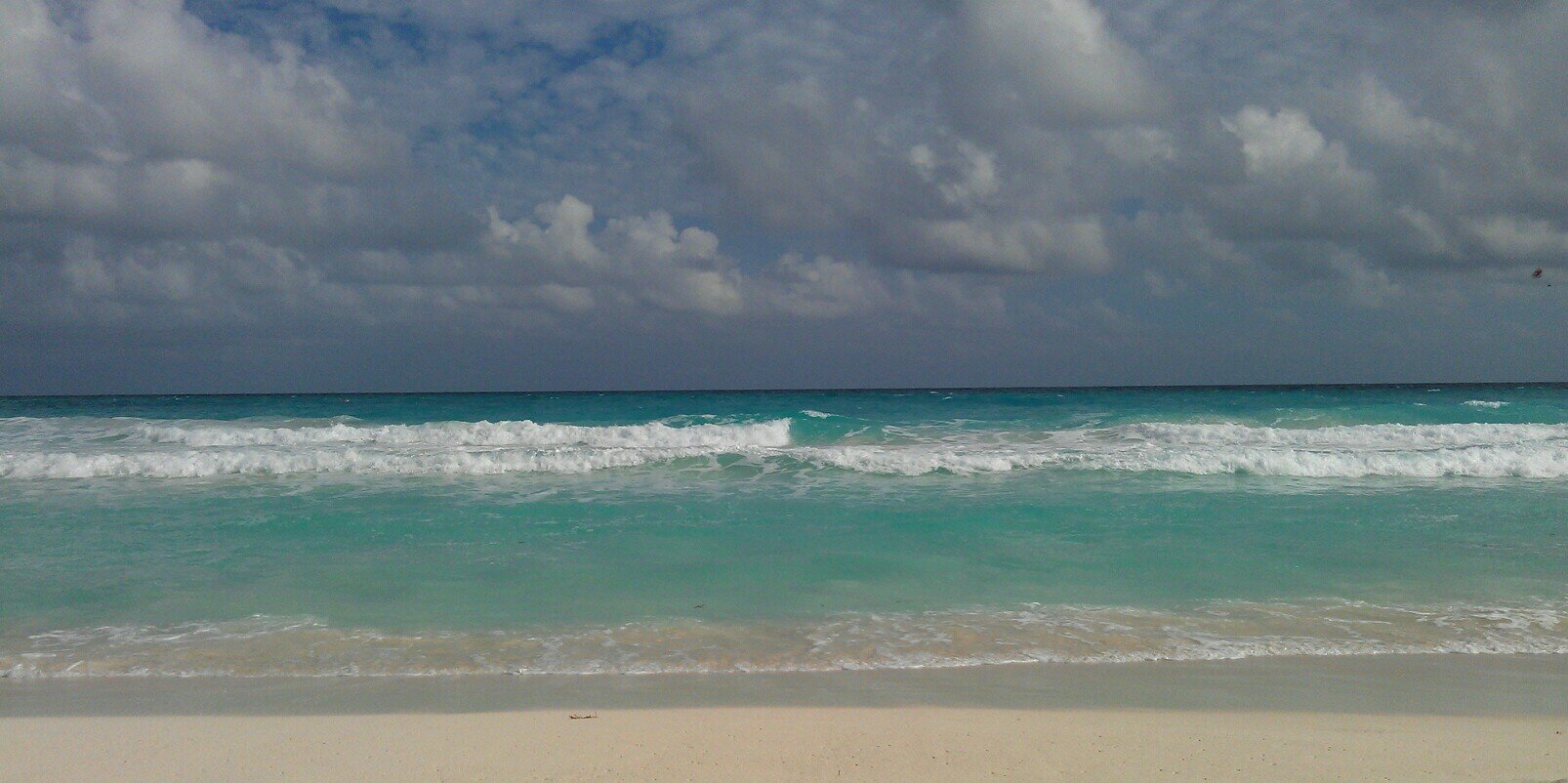 Samantha Hernandez banner