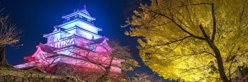 バジ　消費税は廃止一択 banner