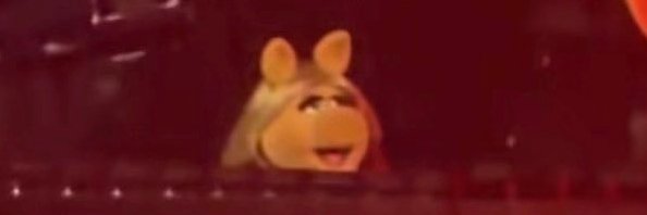 David Chipakupaku 🏴󠁧󠁢󠁳󠁣󠁴󠁿🇿🇲 banner