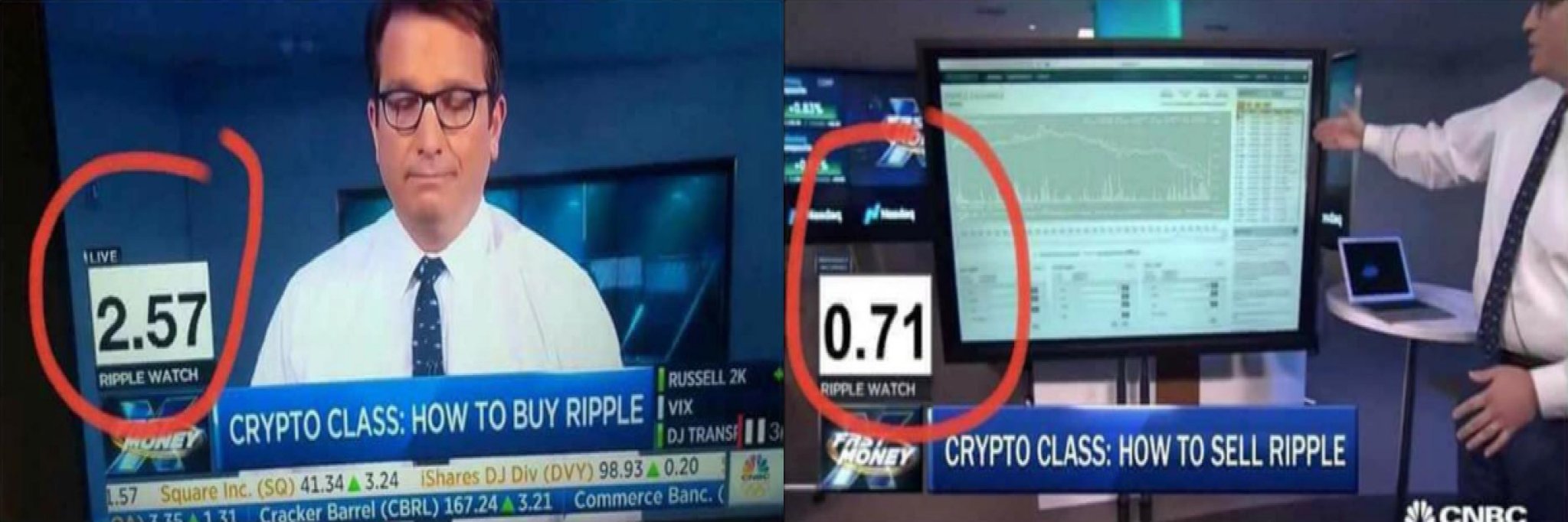 whatever cryptos banner