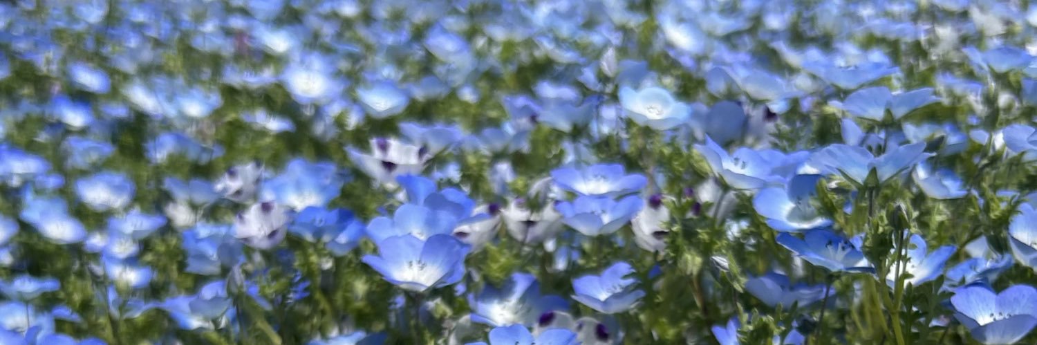 なゆ@取引垢 banner