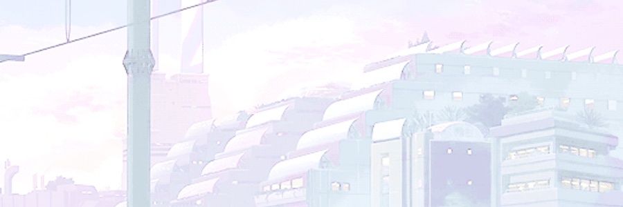 North banner