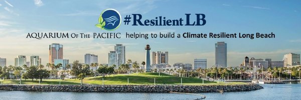 resilientLBaop Profile Banner