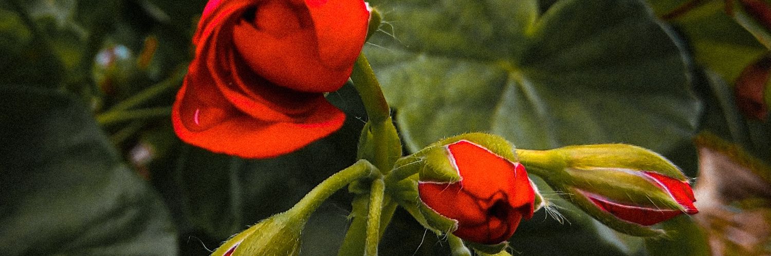 gabimayer_'s profile banner image