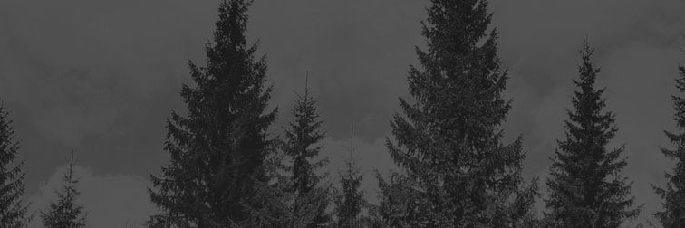 mibuckpole's profile banner image