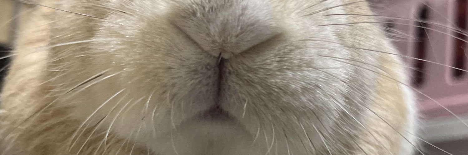 いくみ＠冬眠明け banner