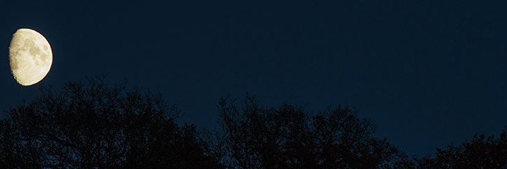 prodbynatural's profile banner image