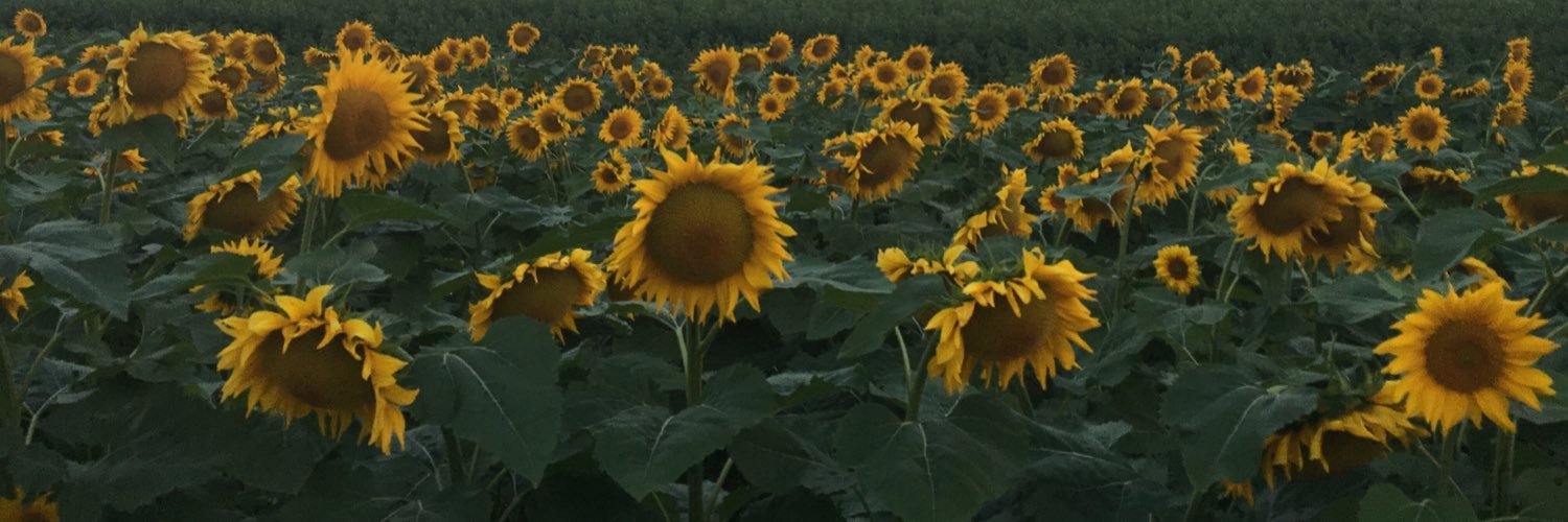 RachelCoutant's profile banner image