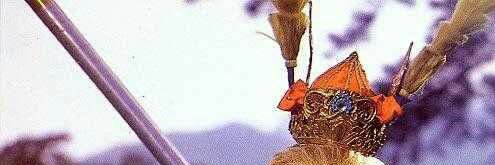 Hello52033841's profile banner image