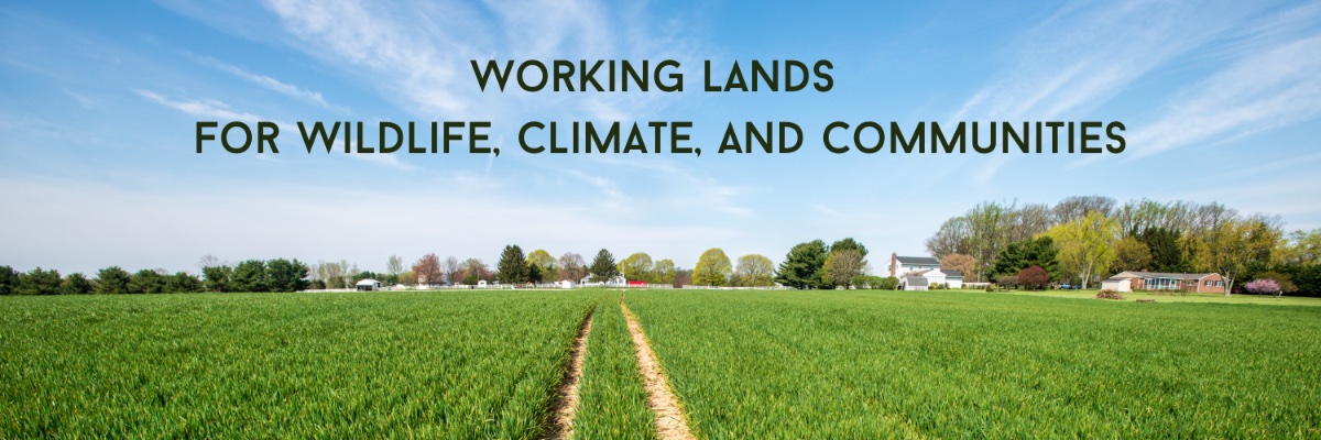 NWF Agriculture Team banner