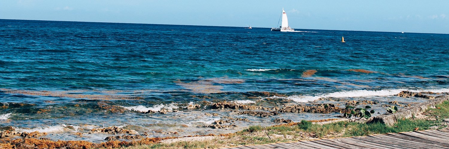 bclombardi's profile banner image