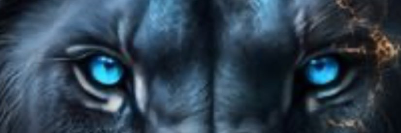 RealKC334's profile banner image