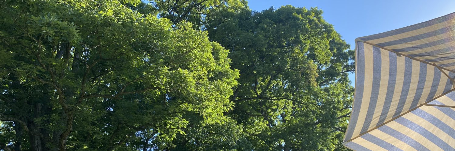 JenBladek45's profile banner image