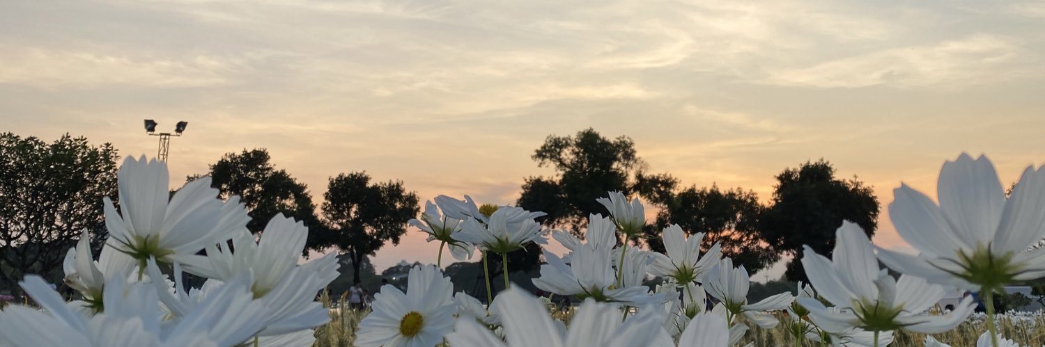 klymei29's profile banner image