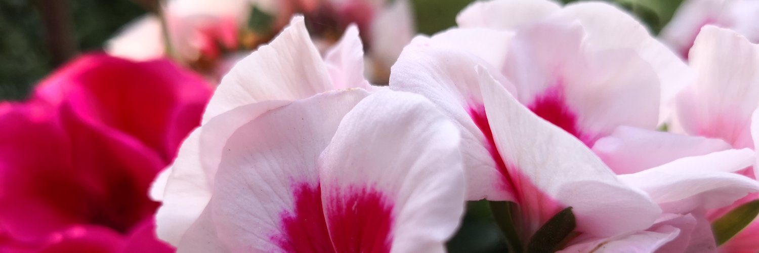 pasarguard🇮🇷 banner