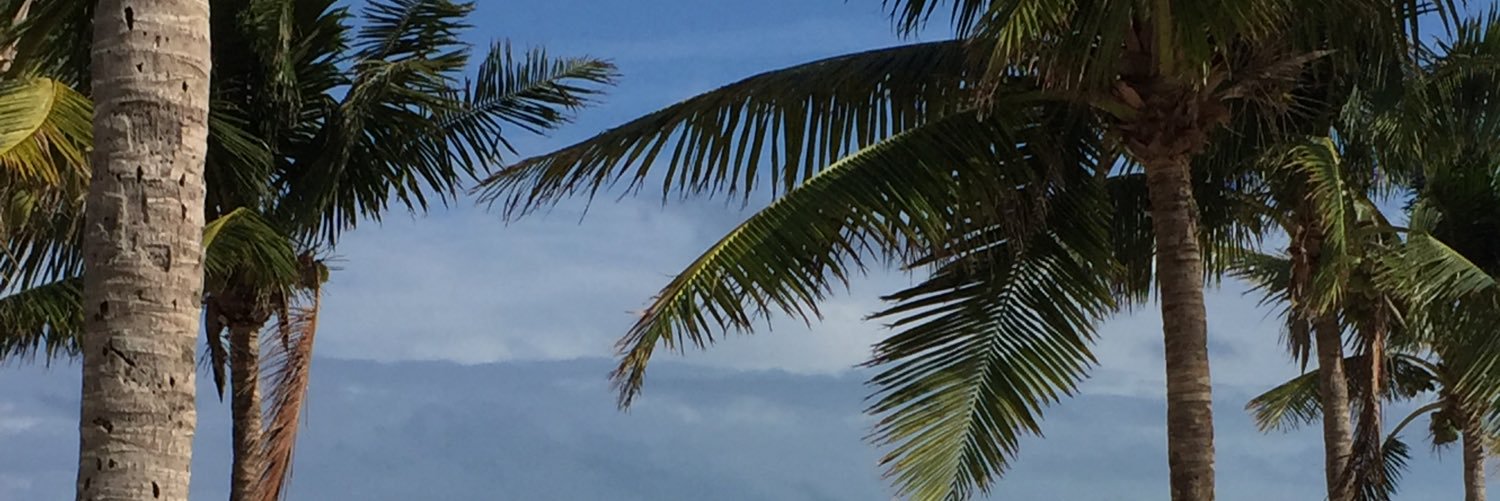 Dom Velotta banner
