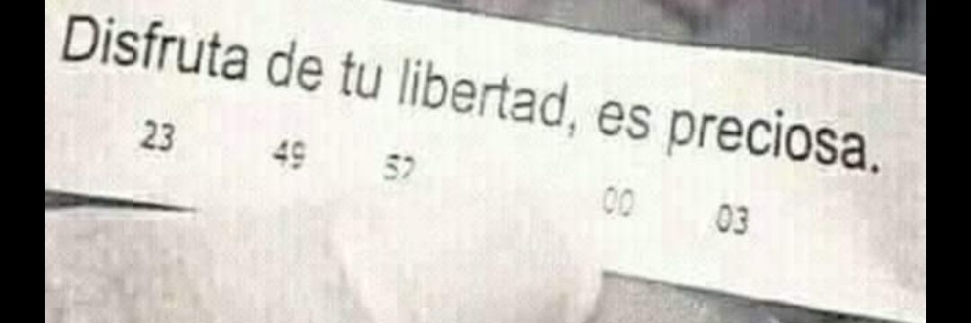 BryanRodri95's profile banner image