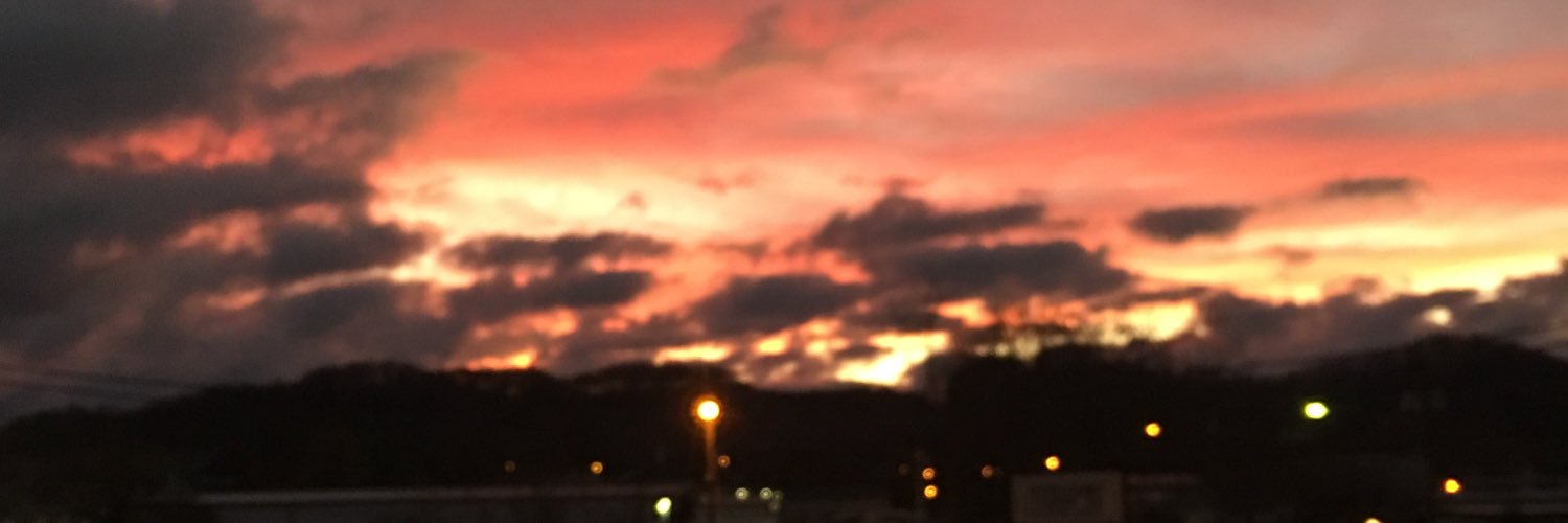 Camee_Burdin's profile banner image