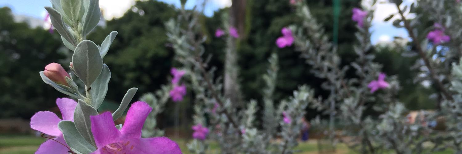 Elisfos's profile banner image