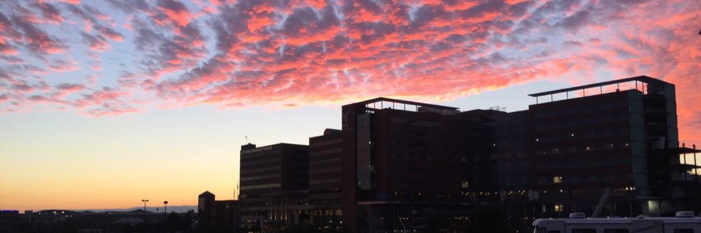 WVU Plastic Surgery banner