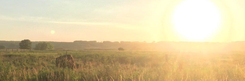 LittlestRich3's profile banner image