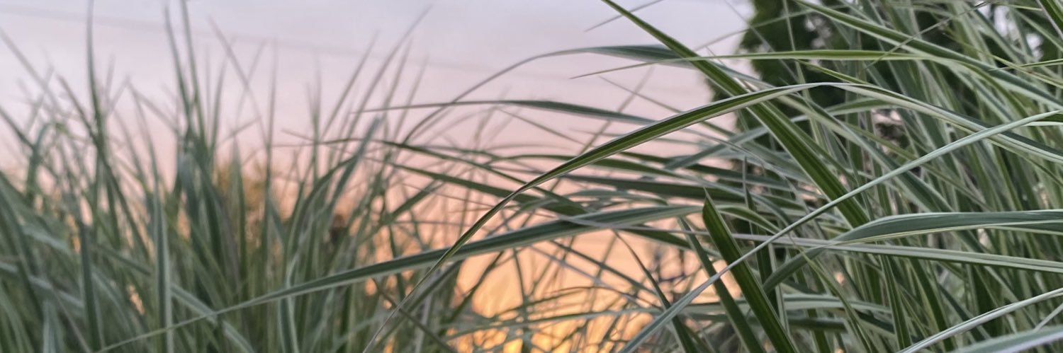 _kelseysmithh's profile banner image