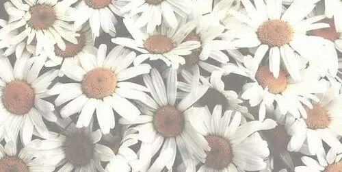 fara7ak's profile banner image