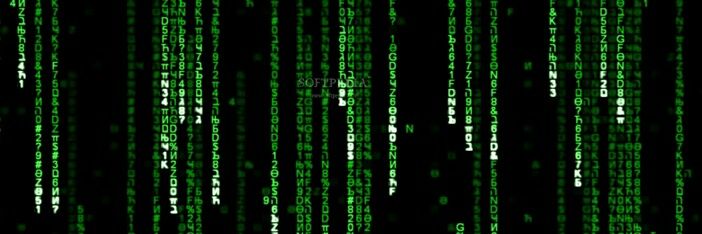 BeardedScallyWag banner