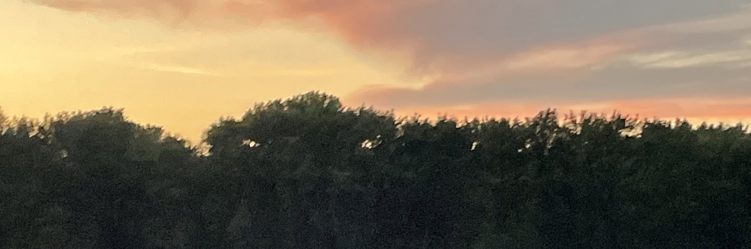 meyersmakes's profile banner image