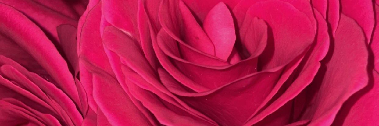 senamii_'s profile banner image