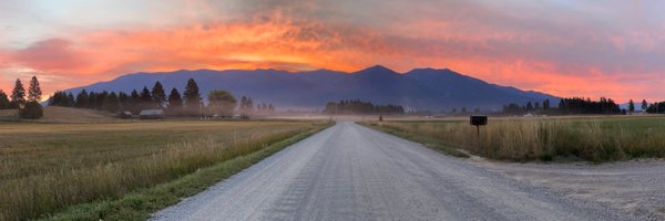 ElisePiazza Profile Banner