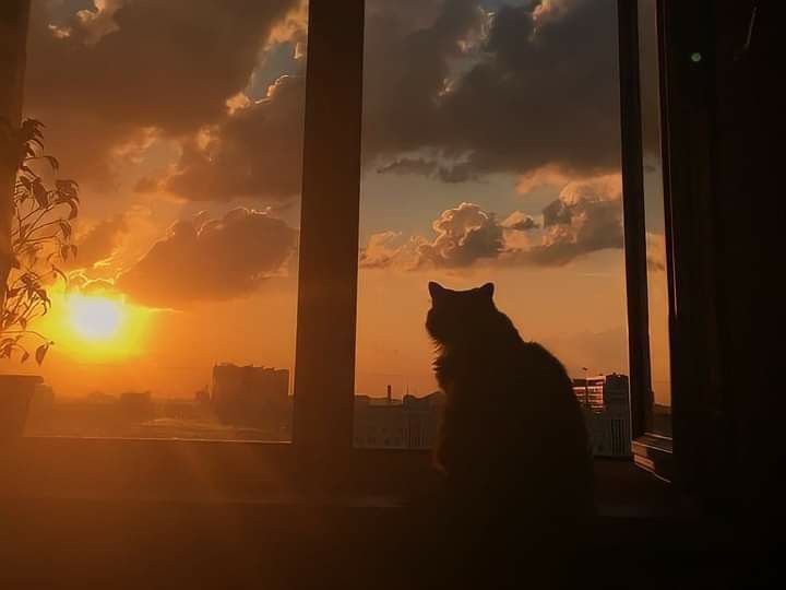 BrisCd0's profile banner image