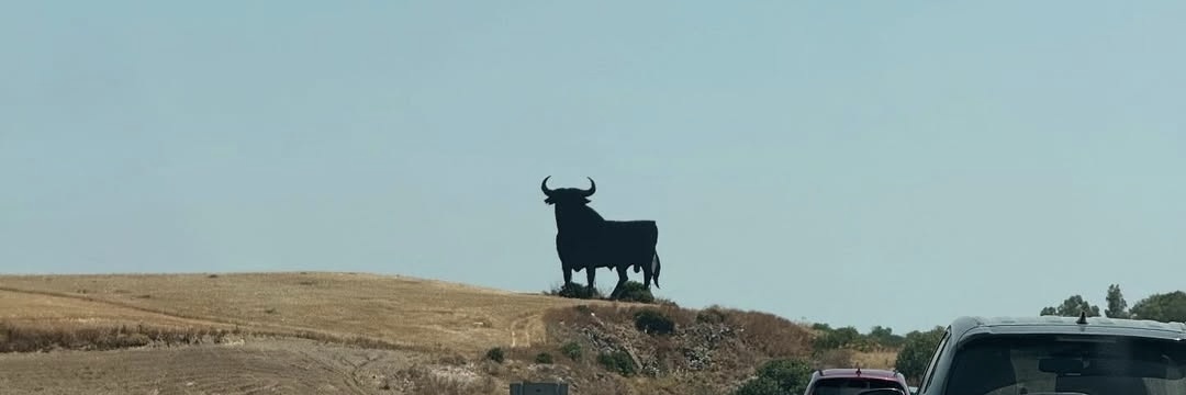 Antuan banner