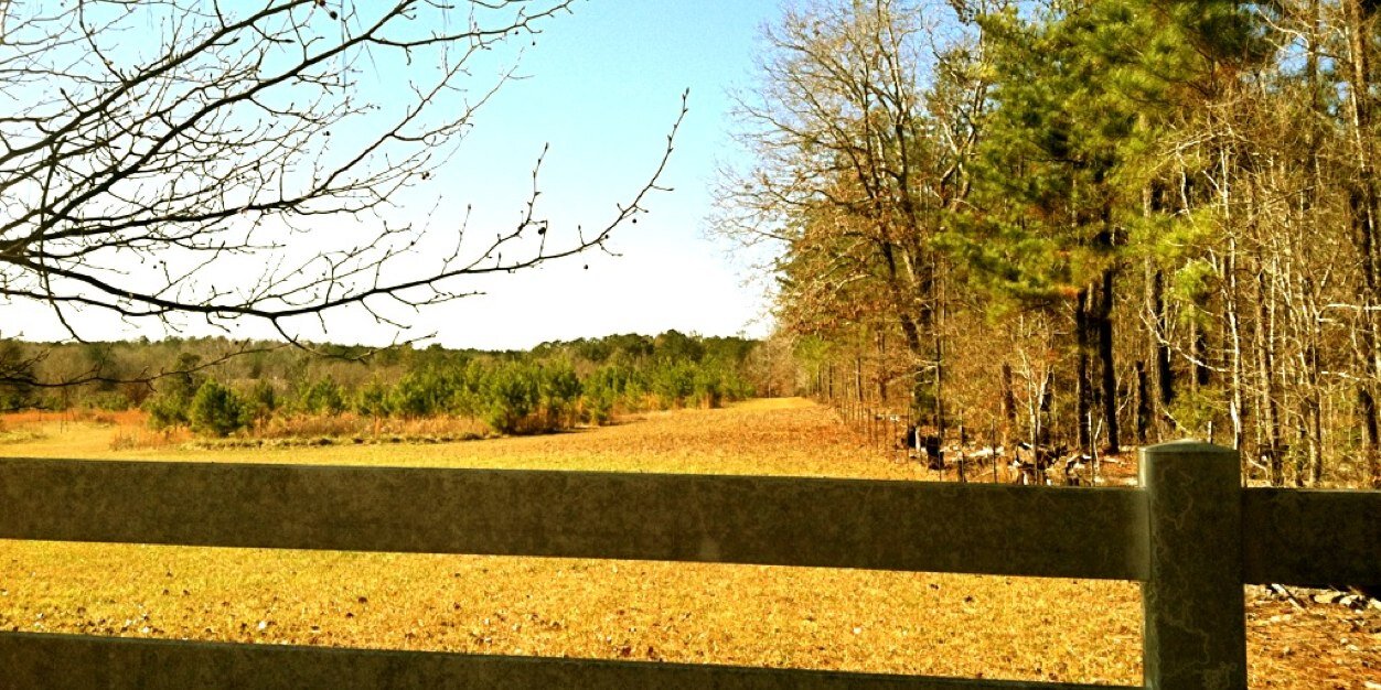TheJoeLasko's profile banner image