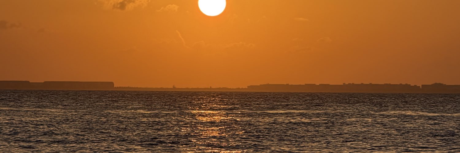 RoRosaless_'s profile banner image