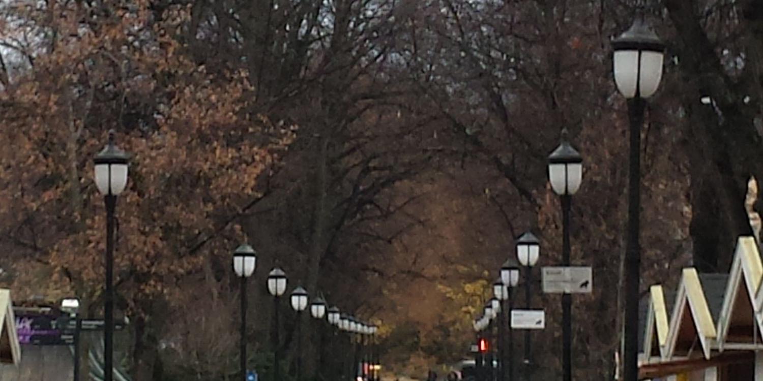 La Princesa Cuckoo Pants banner