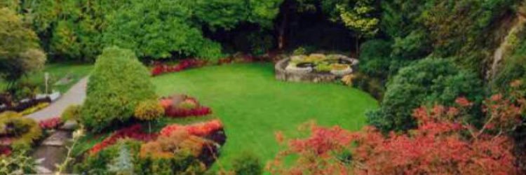 Aljooohrah's profile banner image