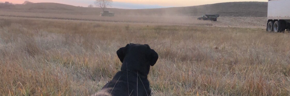 Wonser97's profile banner image