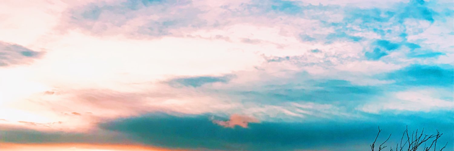 alli collins banner