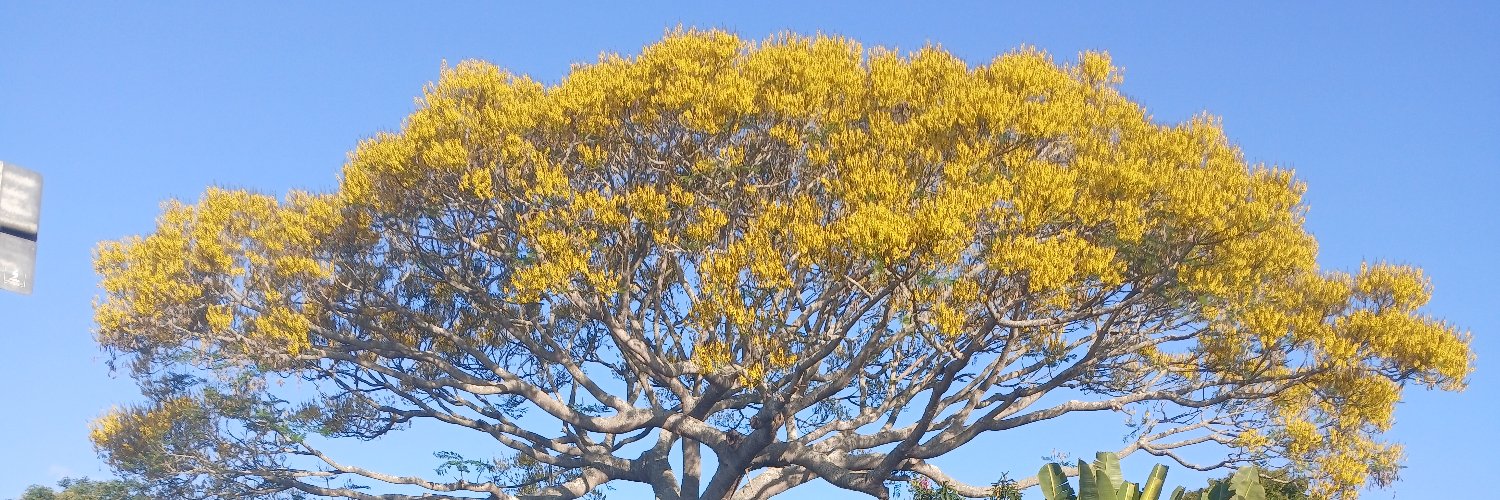 J.L.S.N 🇧🇷 banner